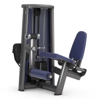 Разгибание ног сидя GYM80 Sygnum Standarts Leg Exstension 3001