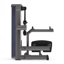 Гребная тяга GYM80 Sygnum Standarts Seated Rowing Machine 3039 