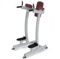 Поднятие коленей/брусья TRUE FITNESS (PARAMOUNT) XFW6400-19