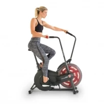 Аэробайк SCHWINN Airdyne AD2i