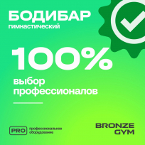Палка гимнастическая профессиональная бодибар BRONZE GYM FA-BDB8 8 кг