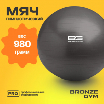 Мяч гимнастический GYM BALL ANTI-BURST FA-GB55 55 см