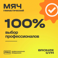 Мяч гимнастический GYM BALL ANTI-BURST FA-GB55 55 см