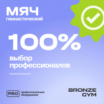 Мяч гимнастический GYM BALL ANTI-BURST FA-GB65 65 см