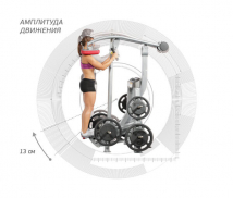 Икроножные мышцы стоя HOIST Roc-It Line Plate-Loaded RPL-5405