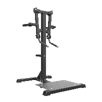 Дельтовидные стоя IMPULSE FITNESS Functional IFP1103