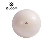 Мяч для йоги BLOOM LB7051-1 (белый, 65 см)