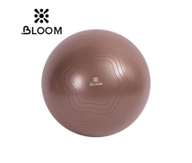 Мяч для йоги BLOOM LB7051-2 (коричневый, 65 см)