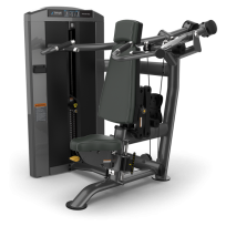 Жим от плеч TRUE FITNESS Palladium Shoulder Press SPL-0700 Metal