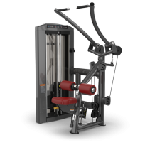 Тяга сверху TRUE FITNESS Palladium Lat Pulldown SPL-1100 Acrylic