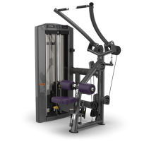 Тяга сверху TRUE FITNESS Palladium Lat Pulldown SPL-1100 Acrylic