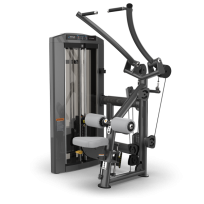 Тяга сверху TRUE FITNESS Palladium Lat Pulldown SPL-1100 Acrylic