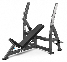 Олимпийская наклонная скамья TRUE FITNESS (PARAMOUNT) XFW7200-19