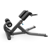 Разгибание спины TRUE FITNESS (PARAMOUNT) XFW5600-19