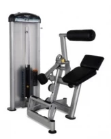 Разгибание спины TRUE FITNESS FUSE1300