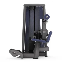 Разгибание спины GYM80 Sygnum Standarts Lower Baсk Machine 3007