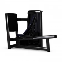 Жим ногами GYM80 Sygnum Standarts Seated Leg Press 3030 