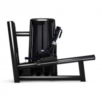 Жим ногами GYM80 Sygnum Standarts Seated Leg Press 3030 