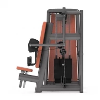 Бицепс сидя GYM80 Sygnum Innovation Curler 5004